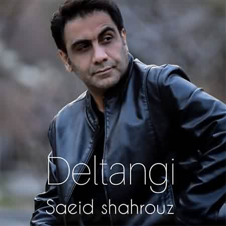 دانلود آهنگ سعید شهروز دلتنگی