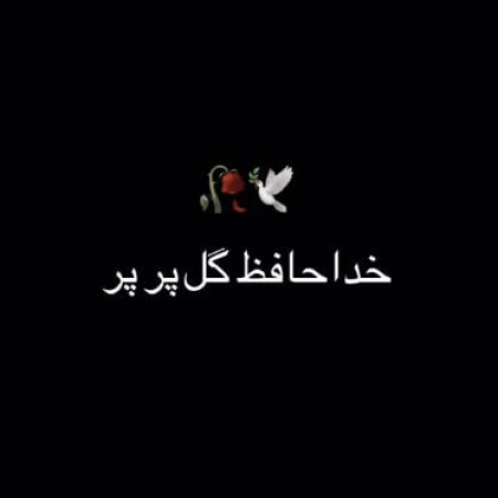 دانلود آهنگ مهدی دارابی خداحافظ گل پر پر تورا از من جدا کردن