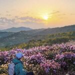 دانلود آهنگ آخرش پیدات کردم بعد این همه سال با صدای زن دانلود آهنگ آخرش پیدات کردم بعد این همه سال با صدای زن