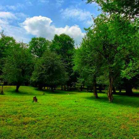 باید از زندگی من سریال بسازن