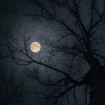 دانلود آهنگ گفتی صبوری باید این با صدای زن دانلود آهنگ گفتی صبوری باید این با صدای زن