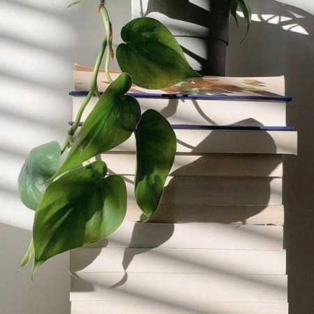 خسته ای غم زده ای مثل منی میفهمم