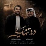 دانلود آهنگ امیر عبدالله و محمد زند وکیلی درد تنهایی دانلود آهنگ امیر عبدالله و محمد زند وکیلی درد تنهایی