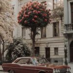 دانلود آهنگ عطر تو از فال کدوم فنجون قهوه بو کنم