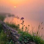 دانلود آهنگ آی گلکم ناز گلکم جونم که بند جونته با صدای زن
