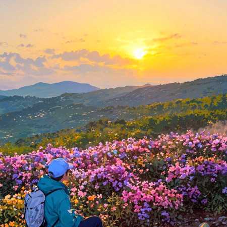 جواهری در قصر قلبم با صدای زن