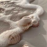 دانلود آهنگ تو این دنیاى دیوونه کسى عاشق نمى مونه
