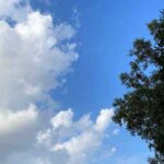 دانلود ریمیکس ترکیبی شنیدم بی نقصی پروانه وار میرقصی سمی لون و پدرام پالیز