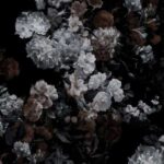 دانلود آهنگ تا ناله ساز میاد صدای اواز میاد دانلود آهنگ تا ناله ساز میاد صدای اواز میاد