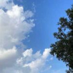 دانلود آهنگ تو اگه منو میخواستی به بقیه تکست نمیدادی