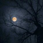 دانلود آهنگ دافم نازه شخصیت دیزنیه