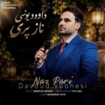 دانلود آهنگ داوود یونسی ناز پری