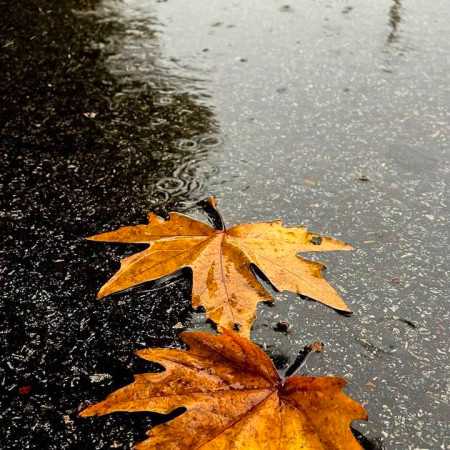 خوشگل مو شرابی دوستت دارم حسابی