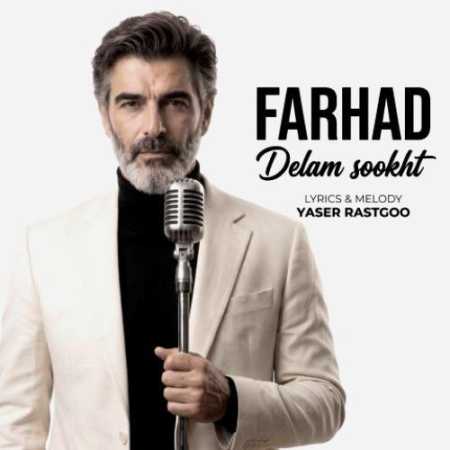 تا بیای موهام سفید شد دیدی عشقت خیلی پیر شد فرهاد